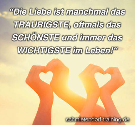 Die Liebe ist manchmal das TRAURIGSTE, oftmals das SCHÖNSTE und immer das WICHTIGSTE im Leben! - Jörg Schmietendorf