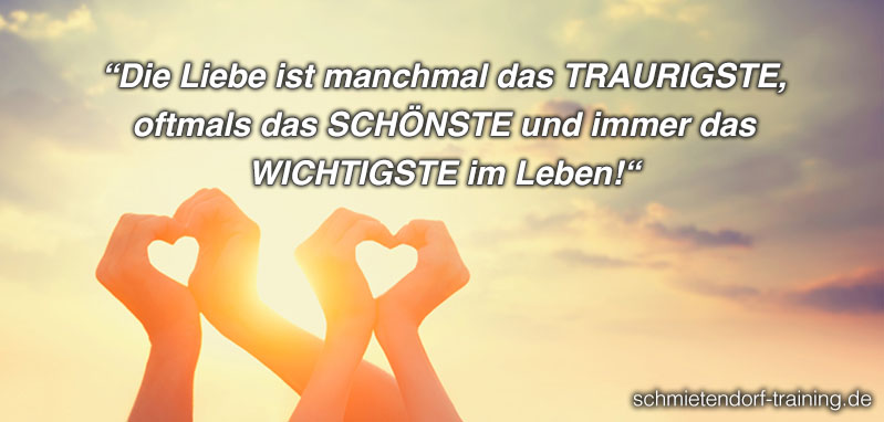 Die Liebe ist manchmal das TRAURIGSTE, oftmals das SCHÖNSTE und immer das WICHTIGSTE im Leben! - Jörg Schmietendorf